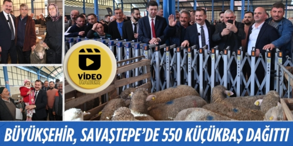 BÜYÜKŞEHİR, SAVAŞTEPE’DE 550 KÜÇÜKBAŞ DAĞITTI