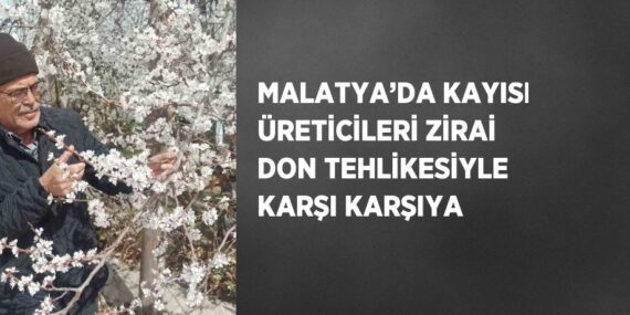 MALATYA’DA KAYISI ÜRETİCİLERİ ZİRAİ DON TEHLİKESİYLE KARŞI KARŞIYA