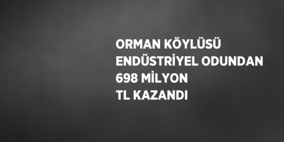 ORMAN KÖYLÜSÜ ENDÜSTRİYEL ODUNDAN 698 MİLYON TL KAZANDI