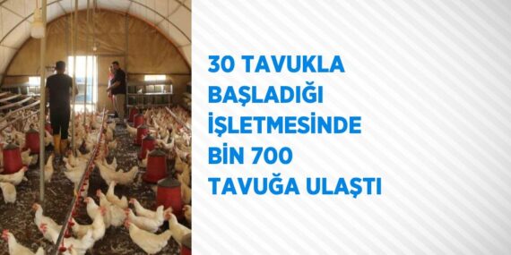 30 TAVUKLA BAŞLADIĞI İŞLETMESİNDE BİN 700 TAVUĞA ULAŞTI