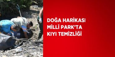 21144301063046020822