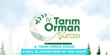 21152207943076624439tasarimli