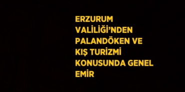 21153249512792330217