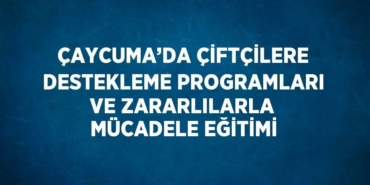 21156281842934721652tasarimli