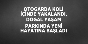 21160319182729129273tasarimli