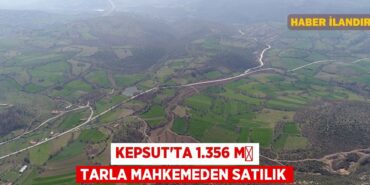 21166243822169820539tasarimli