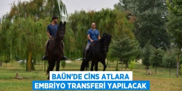 21173236222347928734tasarimli