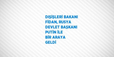 21182261773005520064