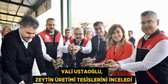 VALİ USTAOĞLU,    ZEYTİN ÜRETİMİ TESİSLERİNİ İNCELEDİ