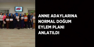 21191291452436229877