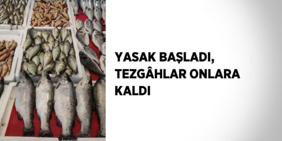YASAK BAŞLADI, TEZGÂHLAR ONLARA KALDI