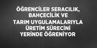 21204259942924023167tasarimli