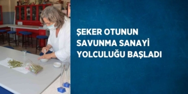 21207313242964525941