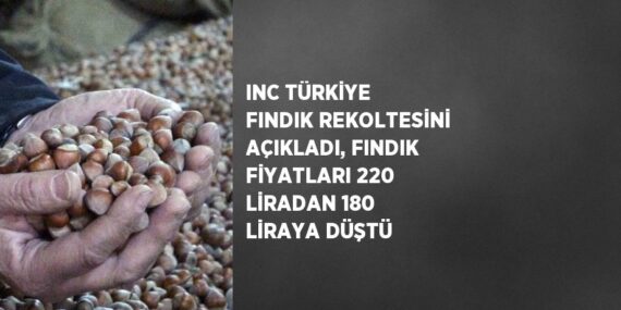 INC TÜRKİYE FINDIK REKOLTESİNİ AÇIKLADI, FINDIK FİYATLARI 220 LİRADAN 180 LİRAYA DÜŞTÜ