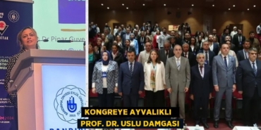 21222206602988821287tasarimli