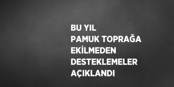 BU YIL PAMUK TOPRAĞA EKİLMEDEN DESTEKLEMELER AÇIKLANDI