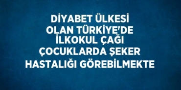 21224300802641424589tasarimli