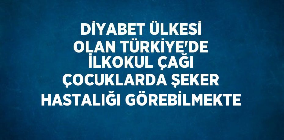 21224300802641424589tasarimli