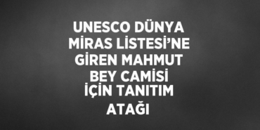 21229231662287224117tasarimli