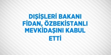 21233232122062224113tasarimli
