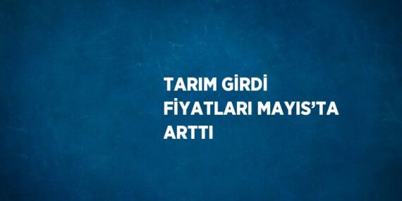TARIM GİRDİ FİYATLARI MAYIS’TA ARTTI