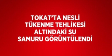 21249245902322326177tasarimli