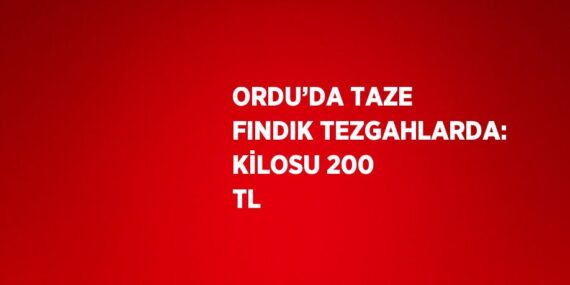 ORDU’DA TAZE FINDIK TEZGAHLARDA: KİLOSU 200 TL