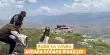 21257309552757331841tasarimli