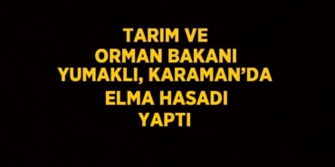 21258306252670822368tasarimli