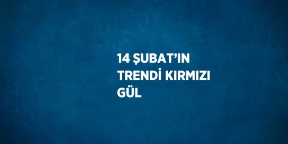 14 ŞUBAT’IN TRENDİ KIRMIZI GÜL