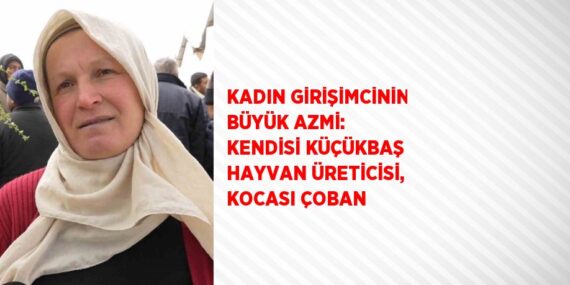 KADIN GİRİŞİMCİNİN BÜYÜK AZMİ: KENDİSİ KÜÇÜKBAŞ HAYVAN ÜRETİCİSİ, KOCASI ÇOBAN