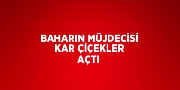 21275272423022925154tasarimli