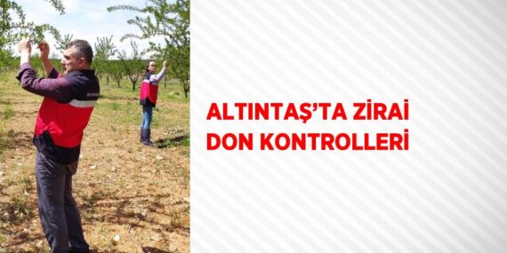 ALTINTAŞ’TA ZİRAİ DON KONTROLLERİ