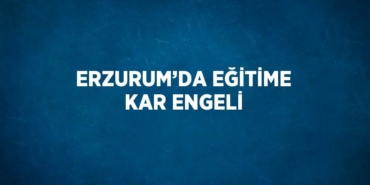 21287246702994922847tasarimli
