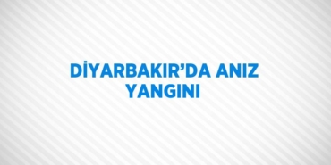 21288306742728621813tasarimli