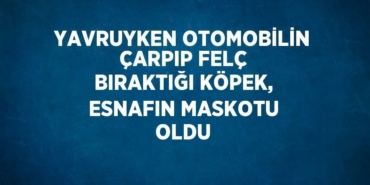 21290262262201123245tasarimli