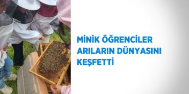 21291268942141327537