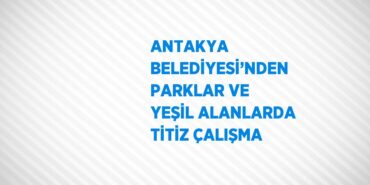 21293288742297925751