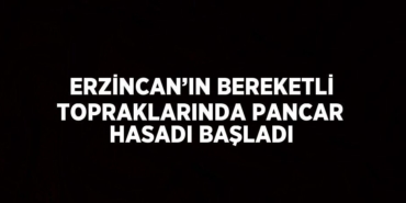 21300243923066824440tasarimli