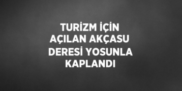 21308211972866428515tasarimli