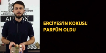 21310208982263429601