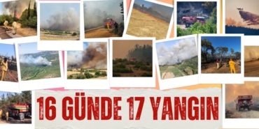 21314316242102427556