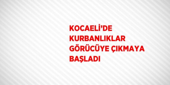 KOCAELİ’DE KURBANLIKLAR GÖRÜCÜYE ÇIKMAYA BAŞLADI
