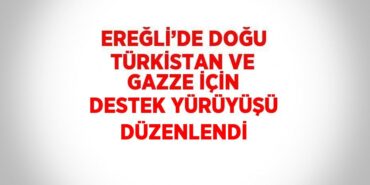 21323200632103521403tasarimli