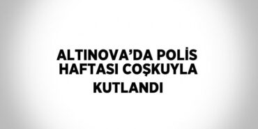 21326236782809431585tasarimli