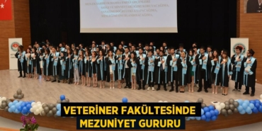 21332270982990231953tasarimli