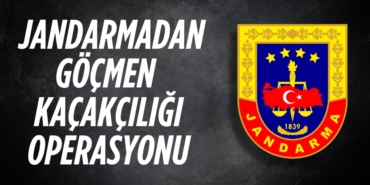 21334214532702131946