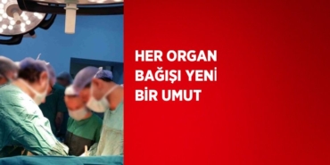 21334228042365520525