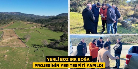 YERLİ BOZ IRK BOĞA PROJESİNİN YER TESPİTİ YAPILDI