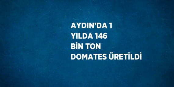 AYDIN’DA 1 YILDA 146 BİN TON DOMATES ÜRETİLDİ